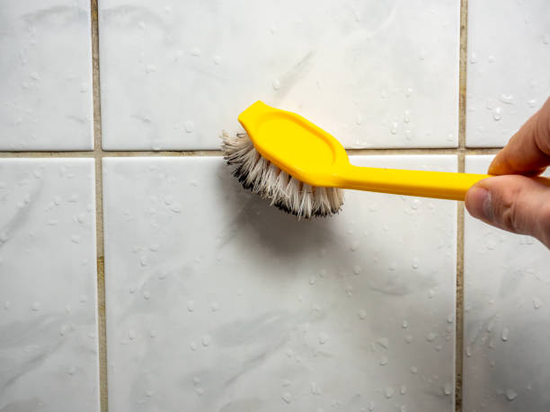 Best Best Mold Removal Companies  in Oak Ridge North, TX