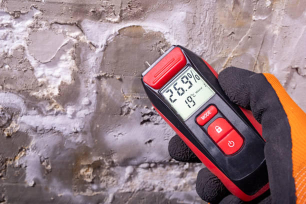 Best Mold Removal Company Near Me  in Oak Ridge North, TX