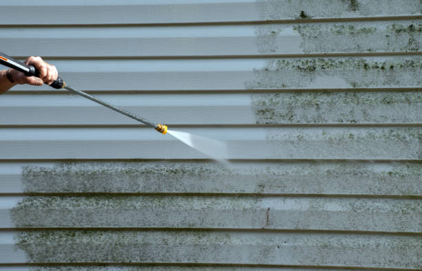 Certified Mold Removal in Oak Ridge North, TX