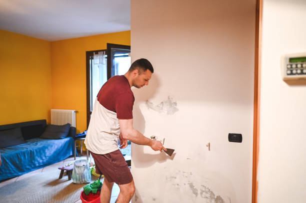 Best Professional Mold Removal  in Oak Ridge North, TX